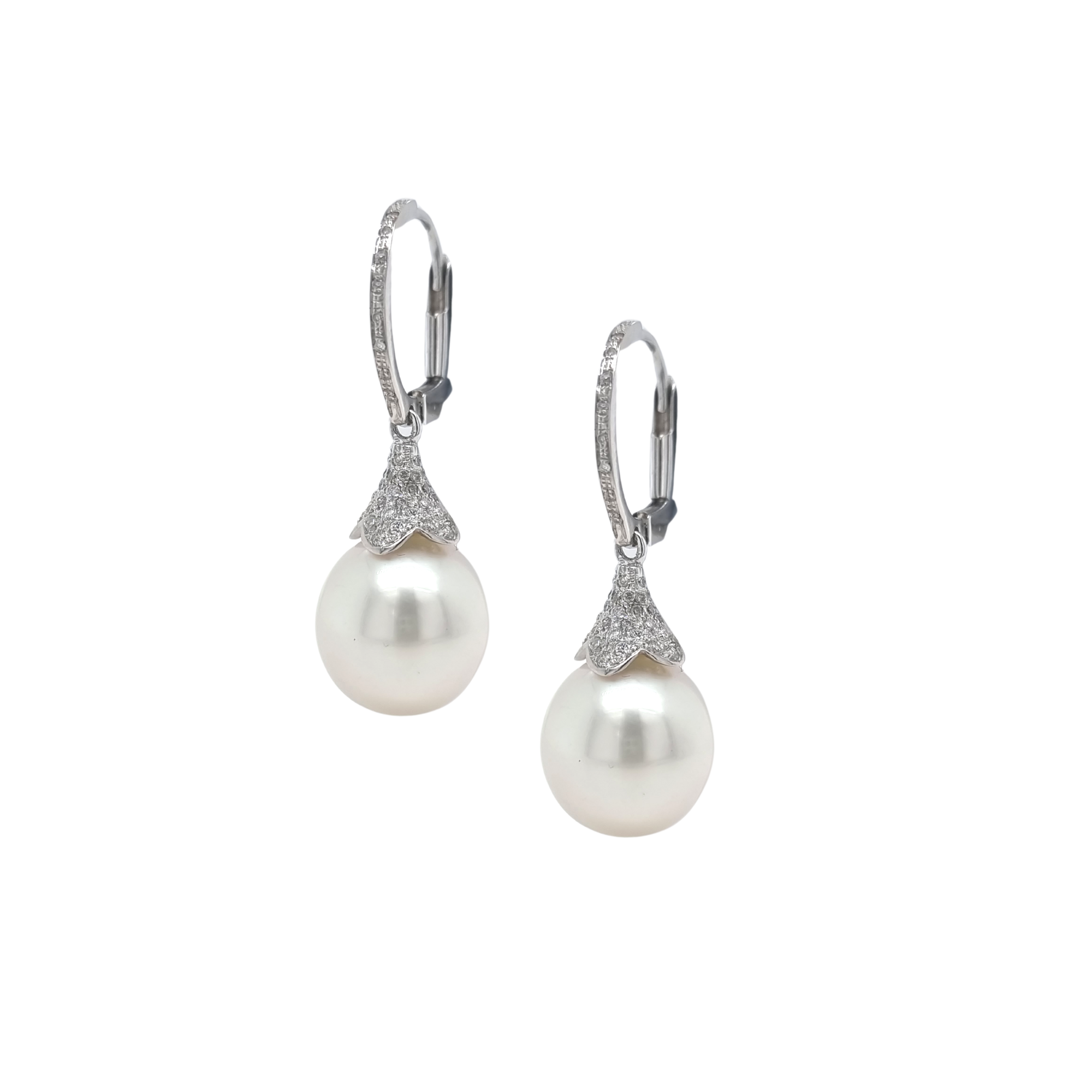 Pearl drop 2024