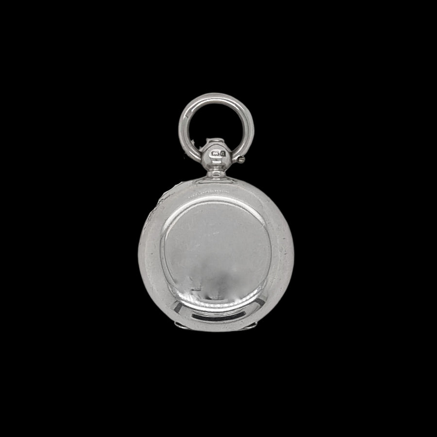 Silver Sovereign Case