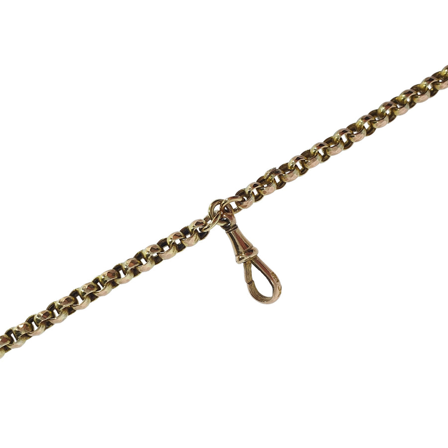 Antique 9ct Gold Long Guard Chain